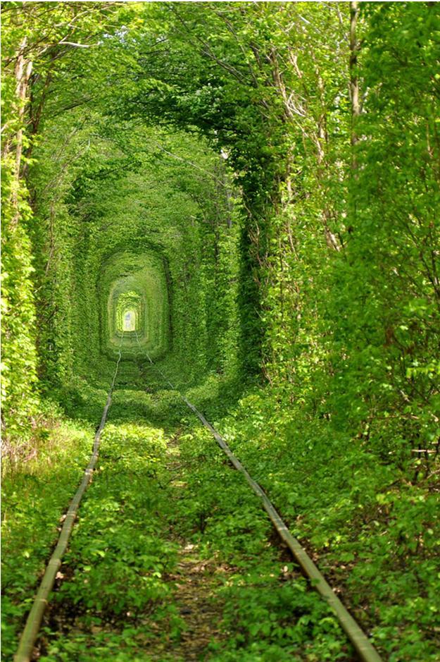 Train Tree Tunnel, Urkraine