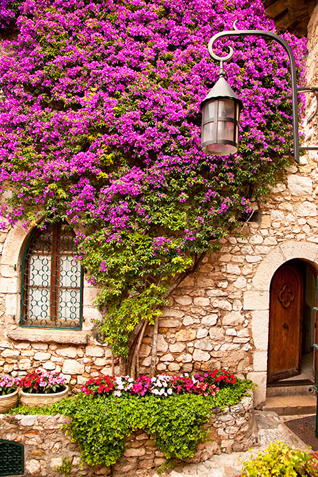 Ivy Cottage, Eze, France
