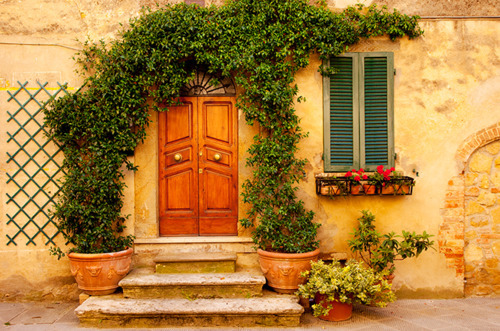 Vine Entry, Tuscany, Italy