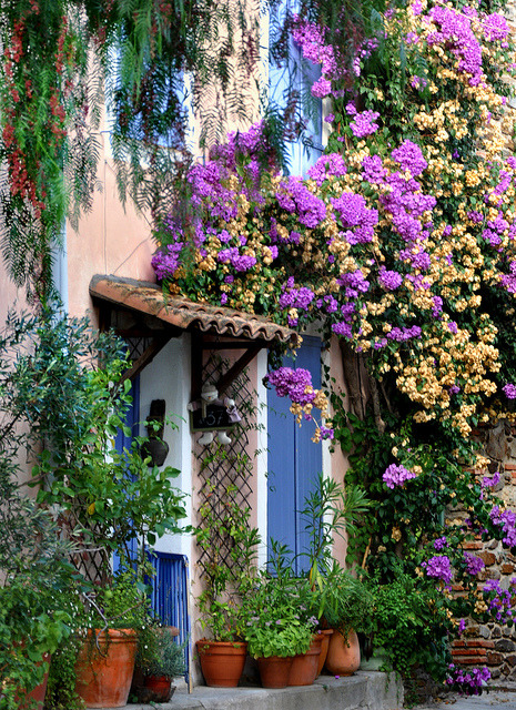 Floral Entry, Grimaund, Provence, France