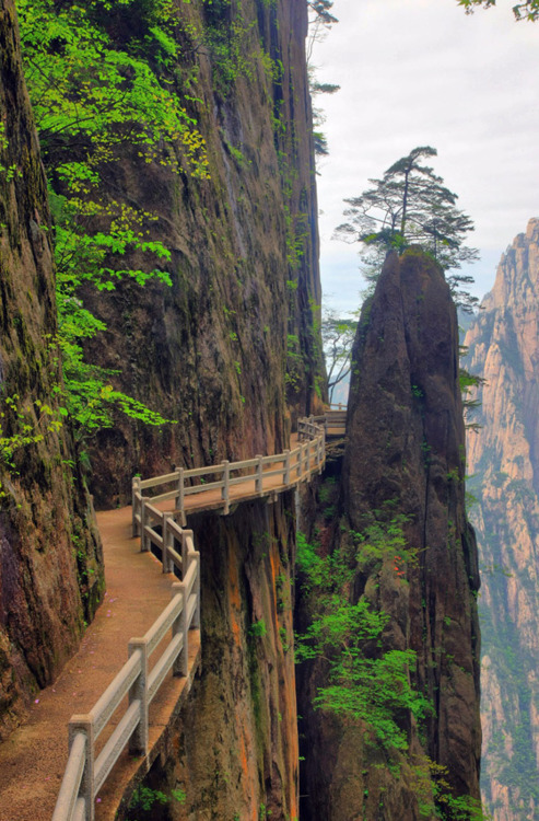 Cliffside Path, Huangshan, Anhui, China