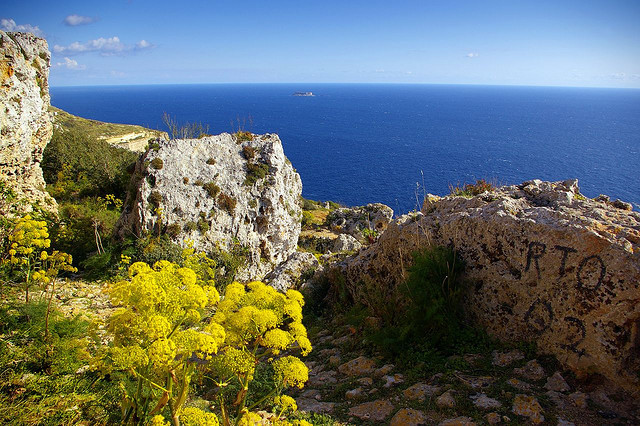 by albireo2006 on Flickr.View from a pathway in the Dingli Cliffs area on the South coast of Malta.
