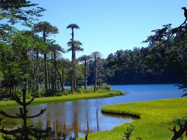 Lago Toro in Parque Nacional Huerquehue, Chile