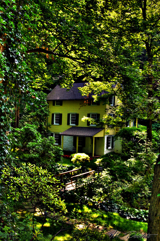 Hidden Forest House, Burlington, Vermont