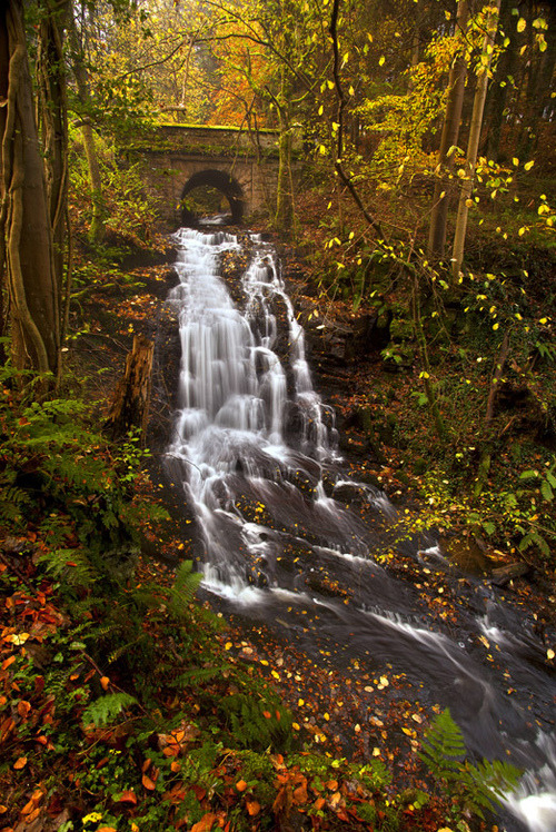 Stone Bridge Waterfall, Clyde Valley, Scotland