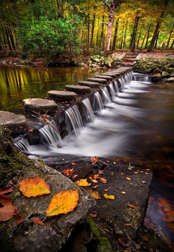 Stepping Stones, Tollymore, Ireland