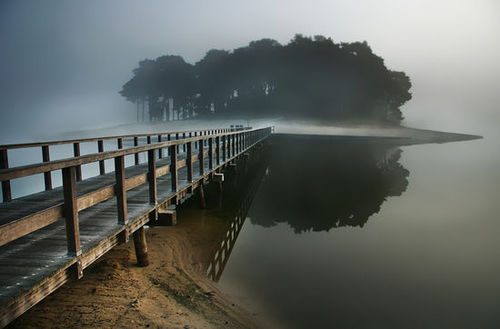 Fog Island, The Netherlands