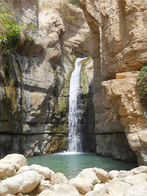 Waterfalls in Ein Gedi Nature Reserve, Israel