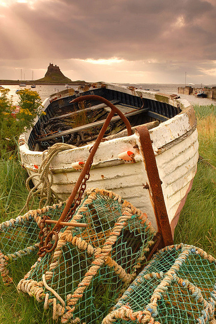 Lindisfarne Castle in the distance, Northumberland, England