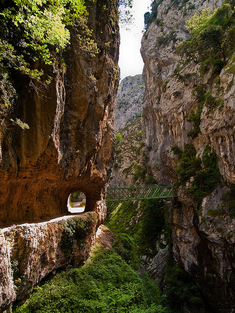 Hiking trail inside the canyon of Rio Cares in Asturias, Spain