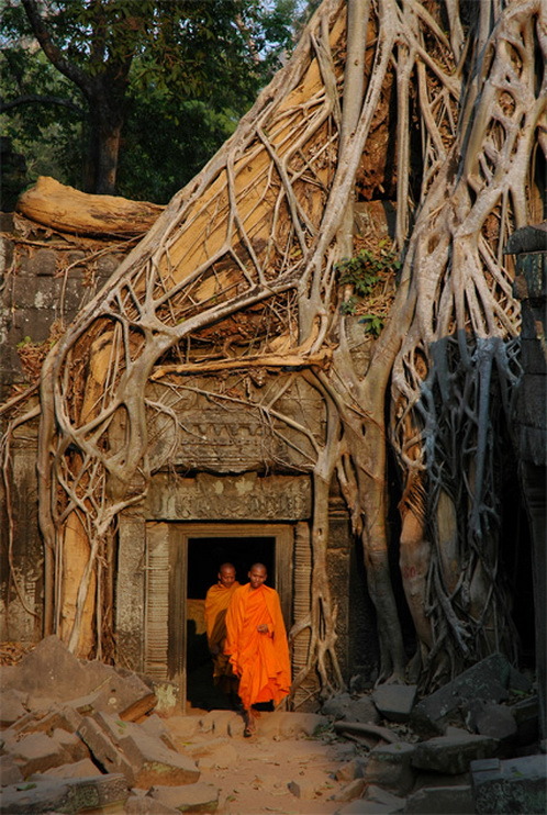 Buddhist monks at Ta Prohm Temple in Angkor, Cambodia
