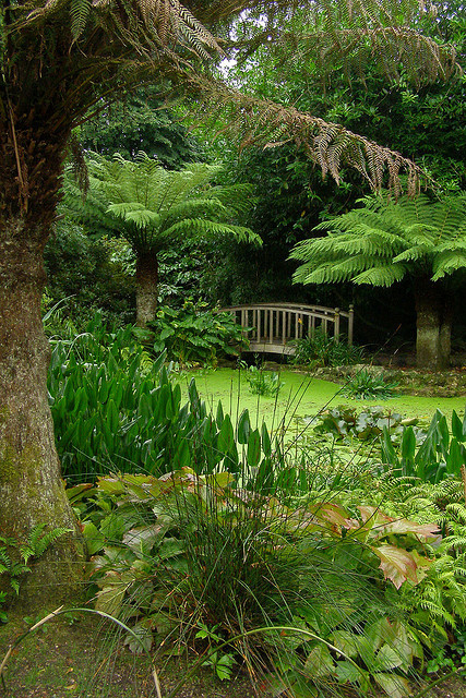 Trengwainton Gardens in Cornwall / England