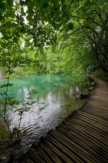 Path by the lake, Plitvice Lakes / Croatia